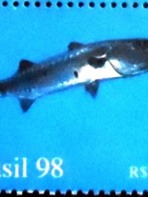 Selo postal do Brasil de 1998 - Great Barrac M