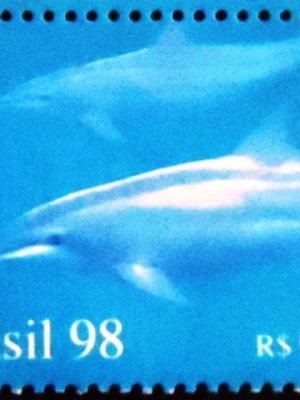 Selo postal do Brasil de 1998 Golfinhos M