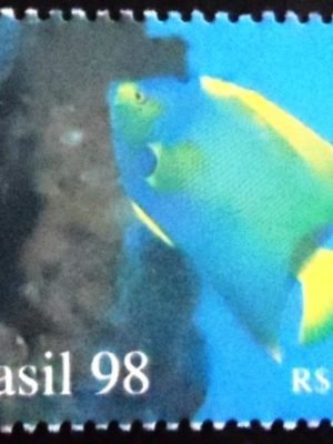 Selo postal do Brasil de 1998 Angelfish M