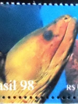 Selo postal do Brasil de 1998 Moray M