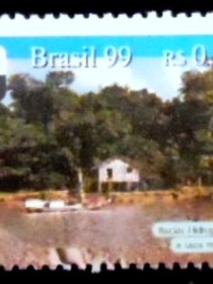 Selo postal do Brasil de 1999 Bacias Hidrográficas M