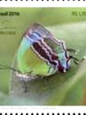 Selo postal do Brasil de 2016 Evenus gabriela