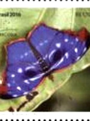 Selo postal do Brasil de 2016 Myscelia orsis M