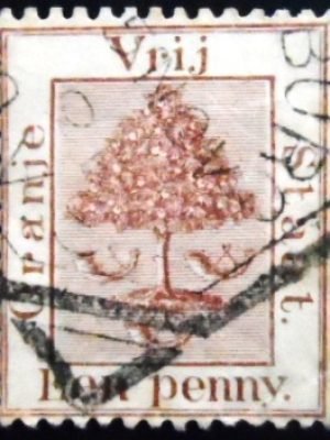 Selo postal do Estado Livre de Orange de 1868 Orange Tree u sev