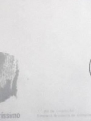 FDC oficial nº 209 de 1980 Érico Veríssimo PB 4366