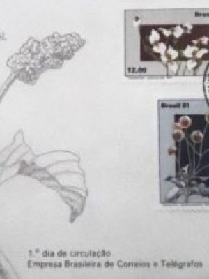 FDC oficial nº 231 de 1981 Flora Brasileira SP 14889