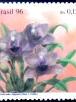 Selo postal do Brasil de 1996 Promenaes Stapelioides M