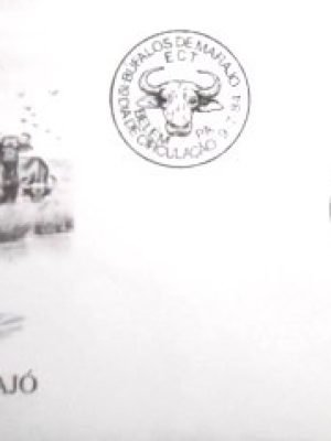 FDC Oficial nº 331 de 1984 Búfalos de Marajó PA 21298