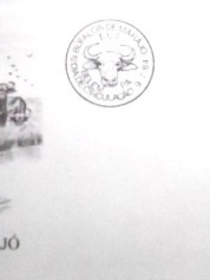 FDC Oficial nº 331 de 1984 Búfalos de Marajó PA 4993