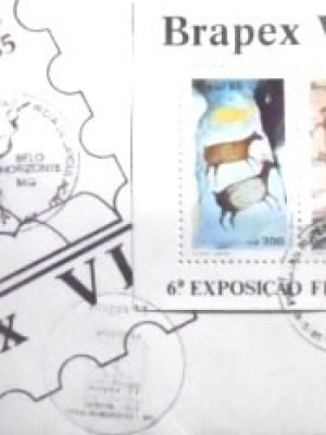 FDC oficial nº 362 de 1985 BRAPEX VI MG 11666