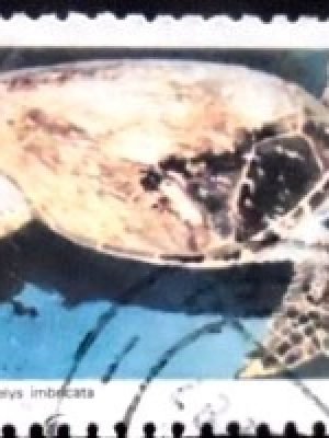 Selo postal do Brasil de 1987 Tartaruga-de-Pente U