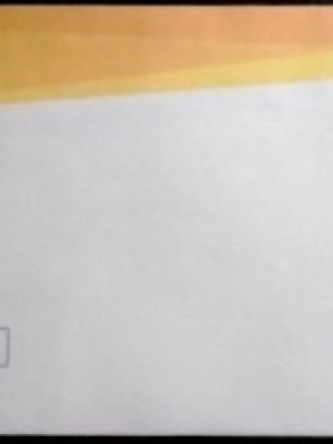 Envelope Oficial Correios