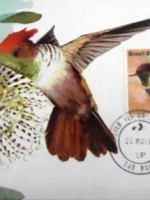 Máximo postal nº 65 de 1981 Topetinho Vermelho