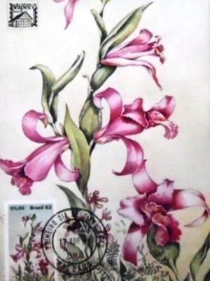 Máximo postal nº 70 de 1982 Orquídea 85 MG 17564