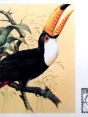 Cartão Postal Oficial de 1983 Tucanuçu 13305