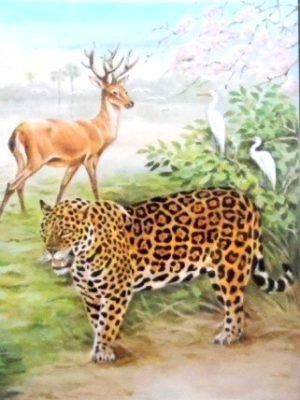 Cartão Postal Oficial do Brasil de 1984 Ave e Onça CP