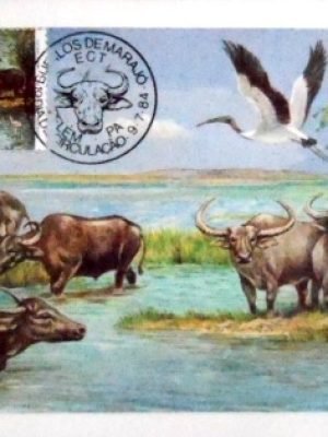 Máximo Postal nº 103A de 1984 Búfalo Carabao PA 30088