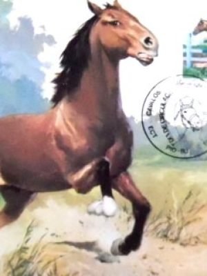 Máximo postal nº 107 de 1985 Campolina RJ 24720