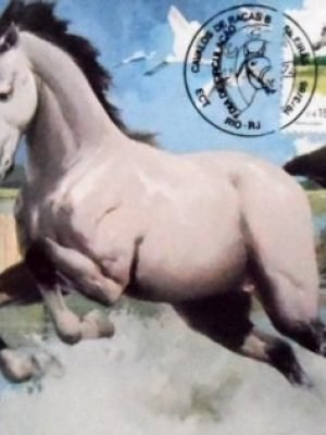 Máximo Postal nº 108 de 1985 Marajoara RJ 5770