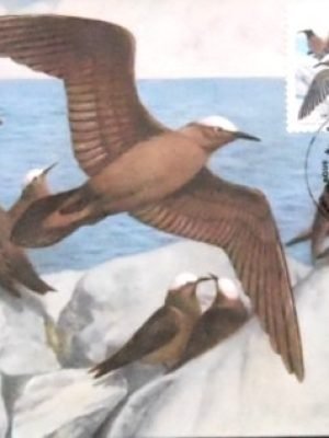 Máximo Postal nº 118 de 1985 Benedito BA 17385