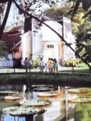 Cartão Postal do Brasil Museu Emílio Goeldi