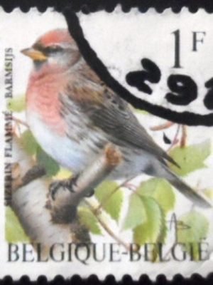 Selo postal da Bélgica de 1995 Common Redpoll U