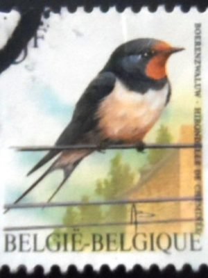 Selo postal da Bélgica de 1992 Barn Swallow U
