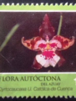 Selo postal do Equador de 2016 Cyrtocaucaea Universidad Católica de Cuenca N