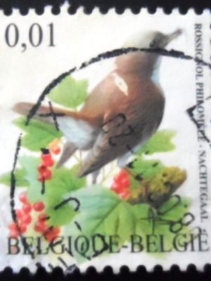 Selo postal da Bélgica de 2004 Common Nightingale U