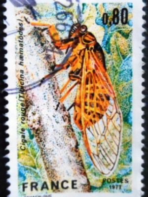 Selo postal da França de 1977 Red Cicada U