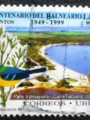 Selo postal do Uruguai de 1999 Tropical Parula U