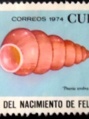 Selo postal de Cuba de 1974 Snail N