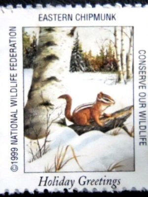 Selo postal Cinderela dos Estados unidos de 1999 Eastern Chipmunk N