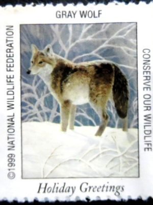 Selo postal Cinderela dos Estados unidos de 1999 Gray Wolf N