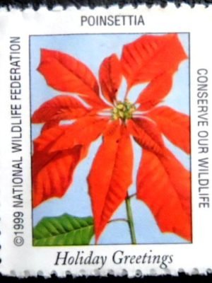 Selo postal Cinderela dos Estados unidos de 1999 Poinsettia N