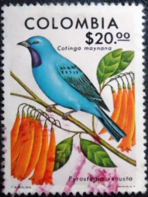 Selo postal da Colômbia de 1977 Plum-throated Cotinga U
