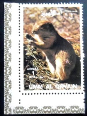 Selo postal de Umm Al Quiwain de 1972 Black-tailed Prairie Dog NCC
