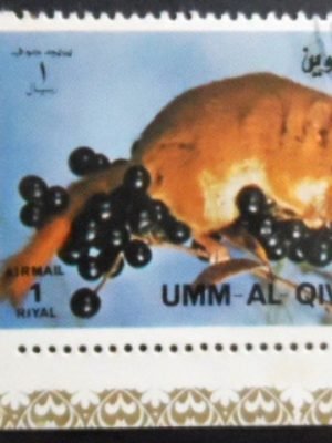 Selo postal de Umm Al Qiwain de 1972 Hazel Dormouse NCC