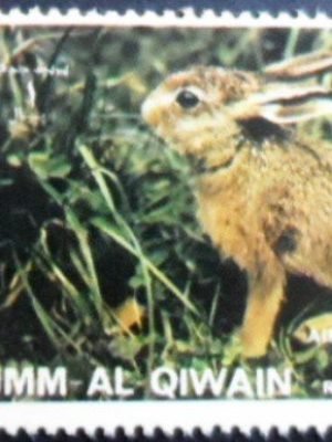 Selo postal de Umm Al Quiwain de 1977 European Hare NCC