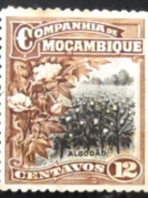 Selo postal da Companhia Moçambique de 1923 Cotton plantation N