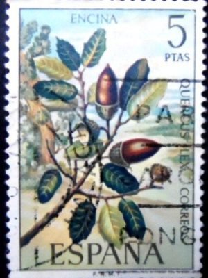 Selo postal da Espanha de 1972 Holm Oak U