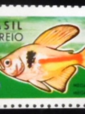 Selo postal do Brasil de 1969 Megalamphodus Megalopterus M
