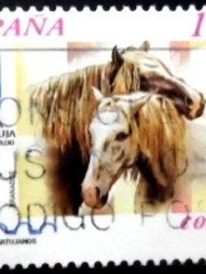 Selo postal da Espanha de 2000 Carthusian Horse U