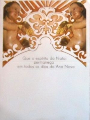 Aerograma do Brasil de 1981 Par de Anjos M a