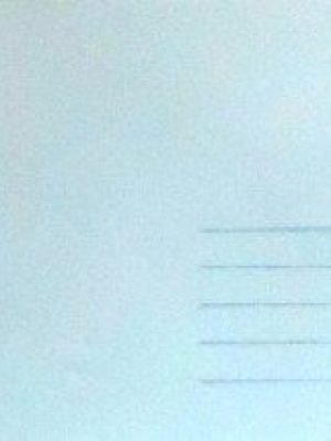 1980 Aerograma Queen Elizabeth II 20