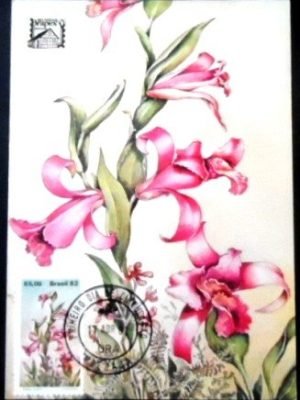 Máximo postal nº 70 de 1982 Orquídea 85 MG 17564