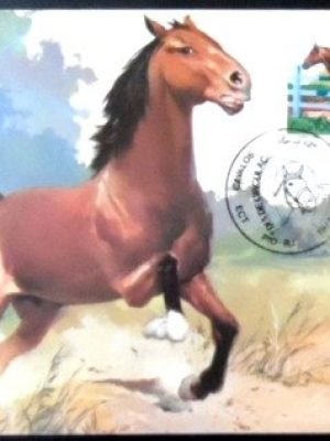 Máximo postal nº 107 de 1985 Campolina