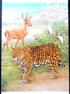 Cartão postal do Brasil de 1984 Ave e Onça