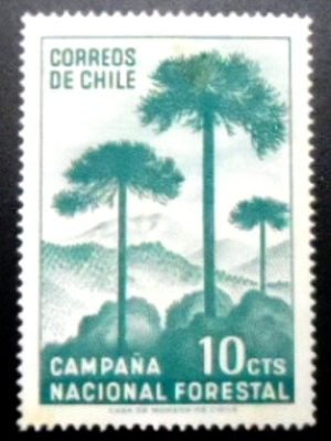 Selo postal do Chile de 1967 Araucária M