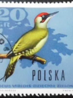 Selo postal da Polônia de 1966  European Green Woodpecker U